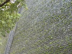 -老白家面馆(测绘东路总店)