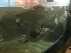 -福州罗源湾海洋世界旅游区