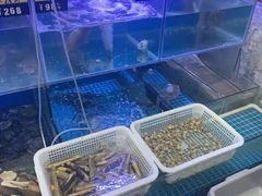 -金龙·打边炉(武进路店)