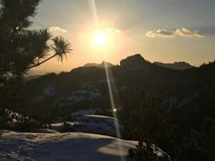 android_upload_pic-竹子庵公园