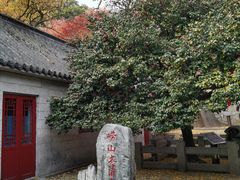 -青岛崂山太清宫