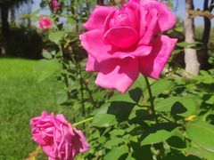 -长白岛森林公园