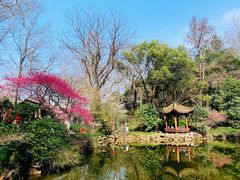 -杭州植物园