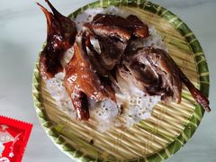 -麻奢鸽农庄·梦里水乡