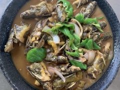 -李东农庄(中南百草园地标店)