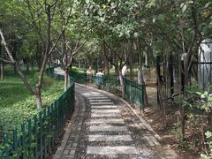 -西安市长乐公园