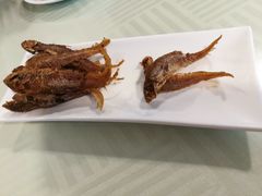 -乔家栅(襄阳南路店)