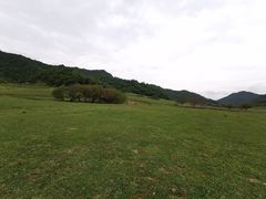 -关山草原