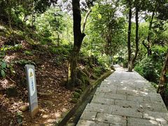 -火炉山森林公园