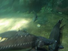 -福州罗源湾海洋世界旅游区