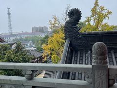 -上海东林寺(金山区)