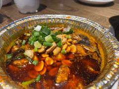 -老号尤兔头(幸福店)