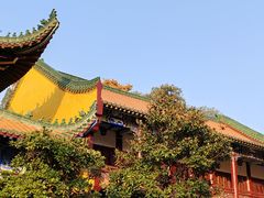-宝通禅寺