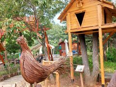 -北京西山国家森林公园