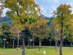 -顺峰山公园