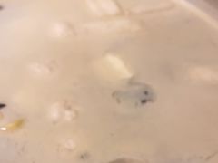 -旺顺阁海鲜广场(亚运村店)