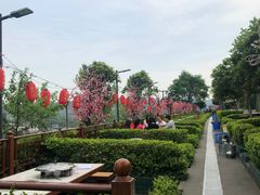 -枇杷园食为鲜火锅(南山店)
