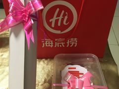 -海底捞火锅(公益西桥店)
