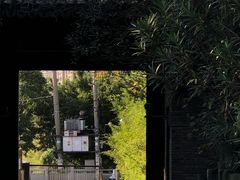 -三垟湿地