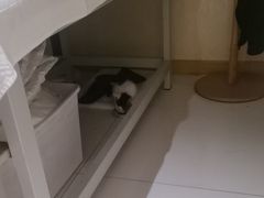 -筋骨堂热敷推拿按摩(翠华路店)