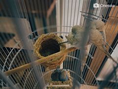 -ChitChat奇洽·Bistro(黎黄陂路店)