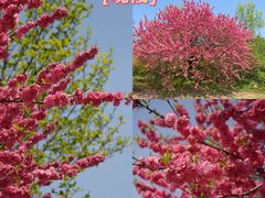 -南山风景名胜区