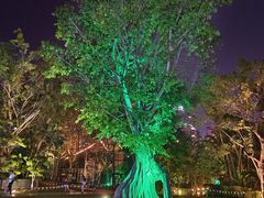 -西双版纳洲际度假酒店-海鲜傣味烧烤·侬香全日制餐厅