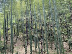 -雅达·阳羡溪山小镇中心