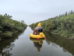 -黄海国家森林公园