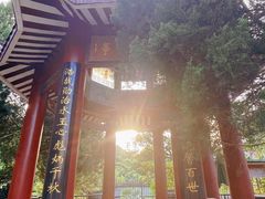 -旗山国家森林公园