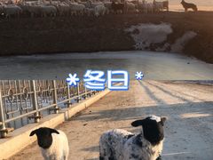 -永定河休闲森林公园