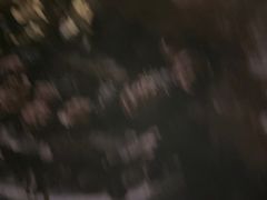 -Xcape异时刻密室逃脱魔法互动(瑞虹天地太阳宫店)