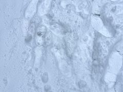 -湖州龙王山景区