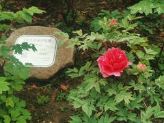 -龙华寺