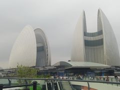 -野狸岛