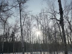 -长春市南湖公园