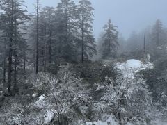 -瓦屋山景区