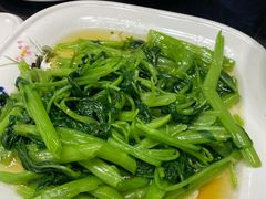 空心菜-旺达·福州菜(正大广场店)