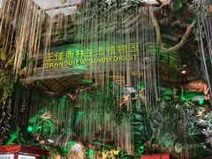 -正佳雨林生态植物园