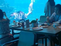 -海棠湾洲际-涛·海底餐厅·美人鱼·自助餐·海底隧道