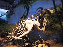 -自贡恐龙博物馆