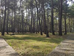 -Club Med地中海俱乐部·桂林度假村