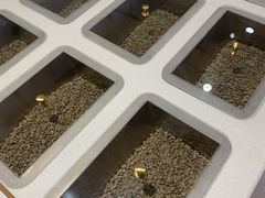 -% Arabica阿拉比卡咖啡(武汉天地店)