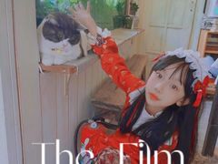 -海边的猫和咖啡馆