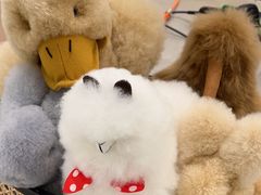 -the balancing(东方店)