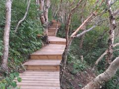 -白草畔自然风景区