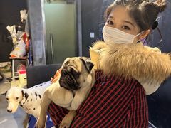 -萌喵宠狗爱心宠咖