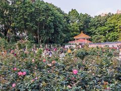 -人民公园(罗湖区)