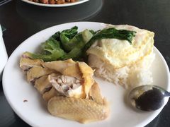 走地鸡-侯臣咖啡文化村