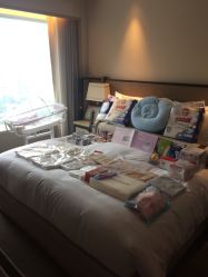 -巍阁高端月子会所